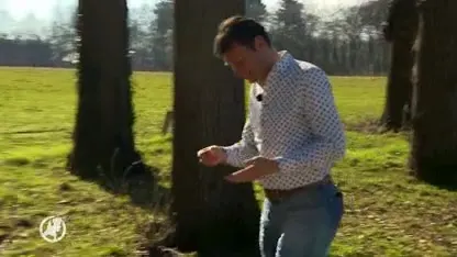 Hoge temperaturen en veel zon in het vooruitzicht