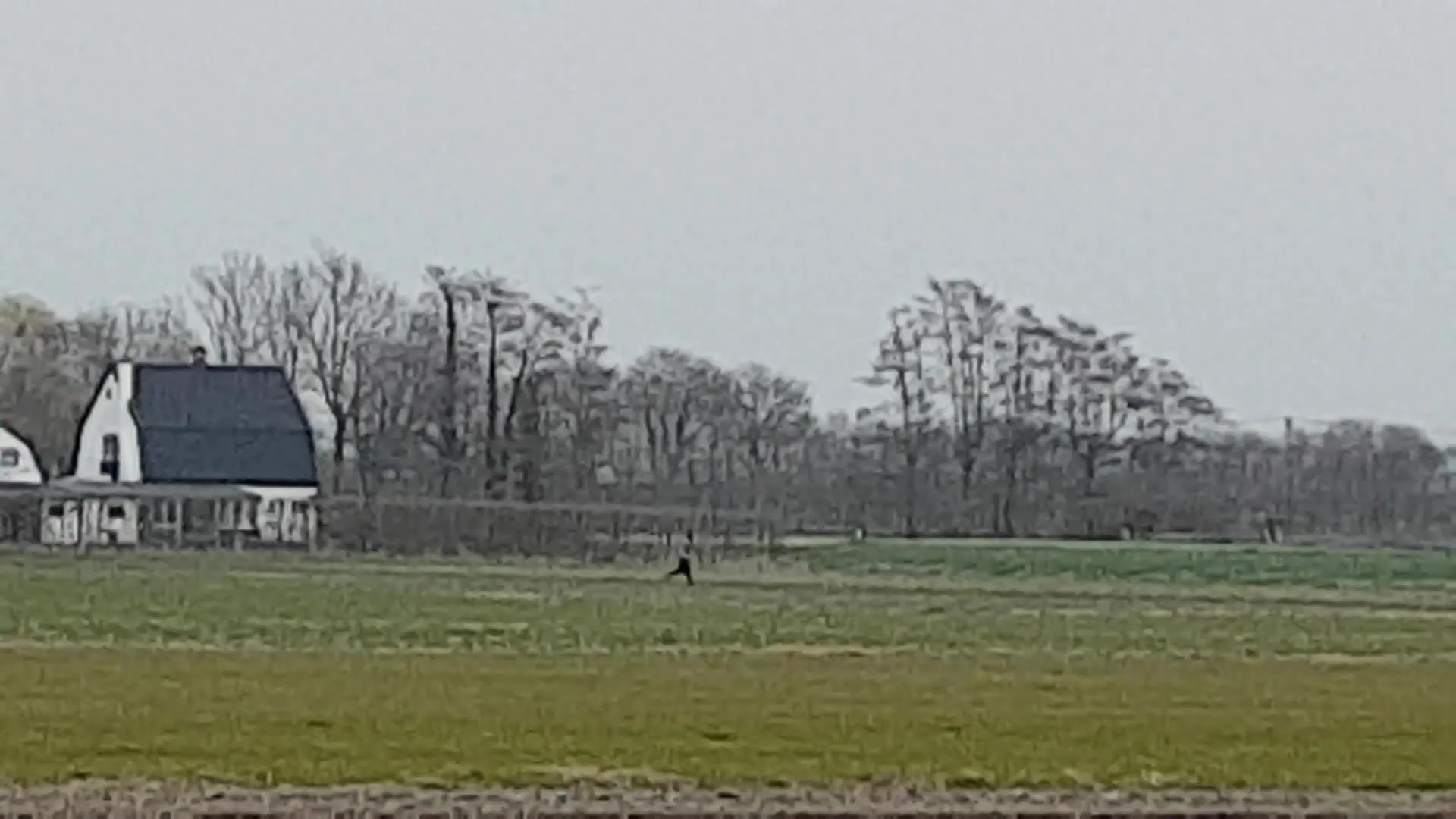 Klopjacht op vermeende inbreker dwars door weilanden en sloten