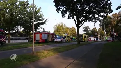 BSO's mogen stints nog maanden niet gebruiken