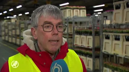 Sierteeltsector luidt noodklok door gevolgen coronavirus