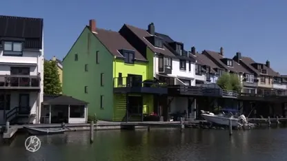 Ineke (83) moet definitief haar felgroene huis overschilderen: kleur is te fel en te afwijkend