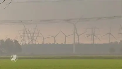 Massaschadeclaim tegen windboeren Mondengebied en Oostermoer