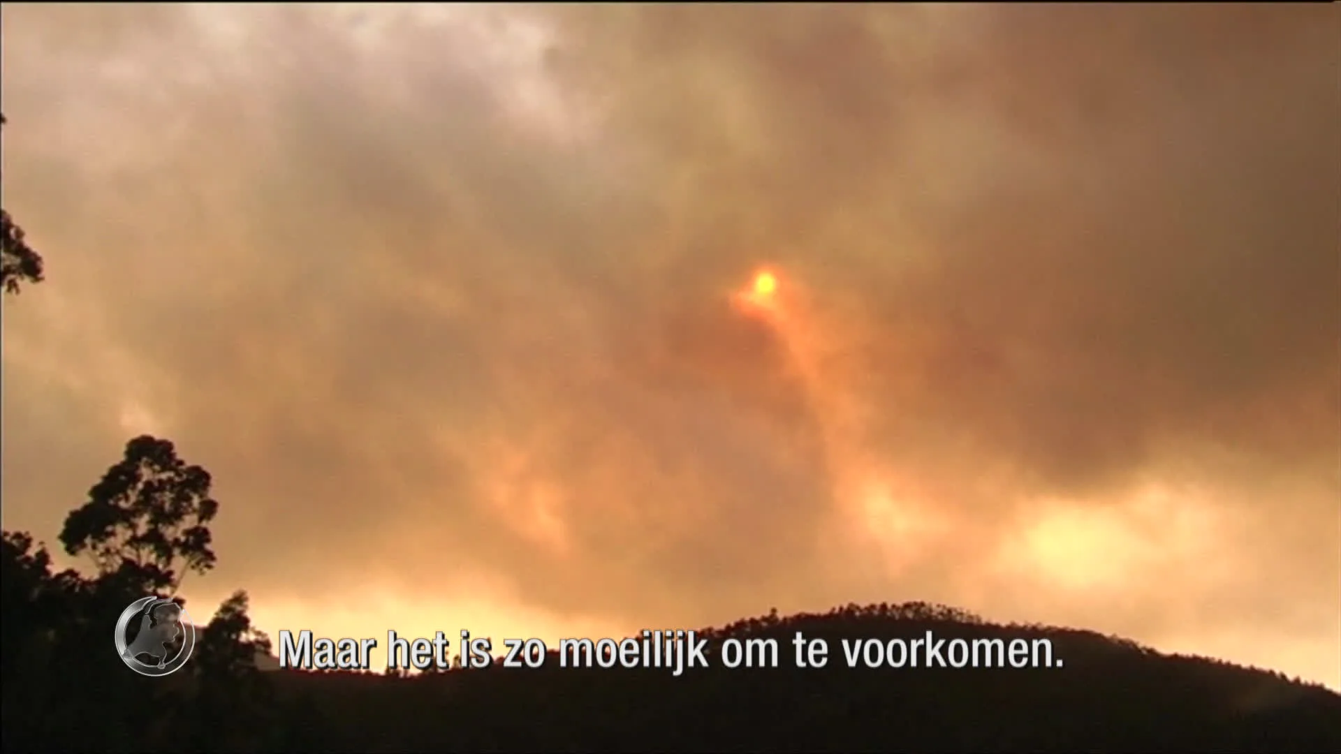 Brandweer krijgt bosbranden Algarve niet onder controle: toeristengebieden in gevaar