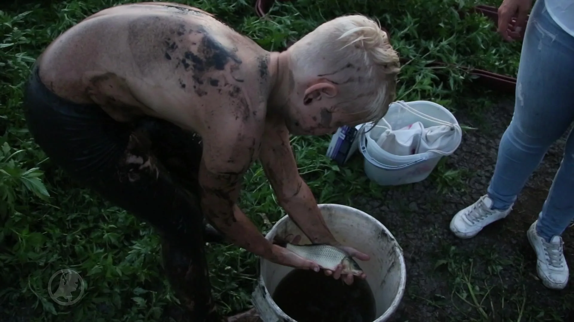 Massale reddingsactie gekaapte karpers