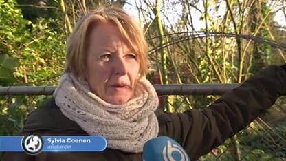 Vandalen vernielen tientallen tuinhuisjes in Delft