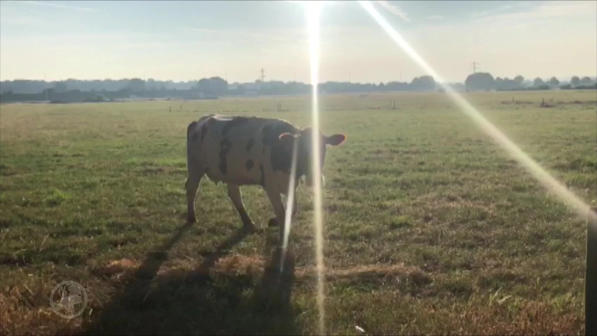 De laatste dag van Evelien op de Vierdaagse