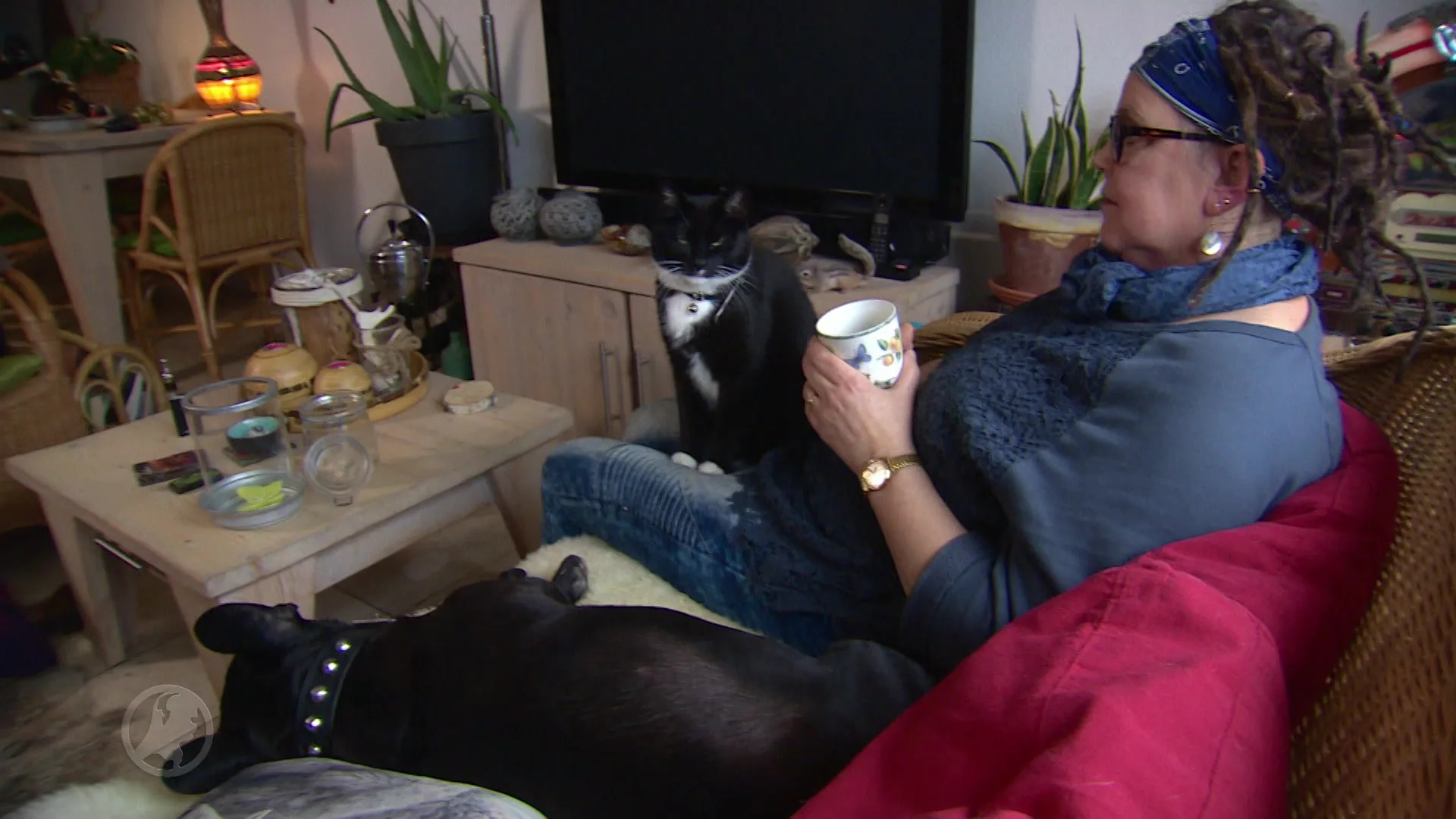 Veel steun voor Tweede Kamerspringer