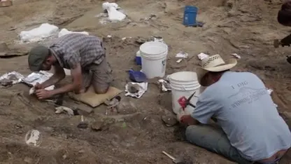 Er komt een gigantische 150 miljoen jaar oude dinosaurus naar Boxtel