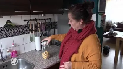 Egel Egbert breekt uit en kruipt in koekjespot van hond Max