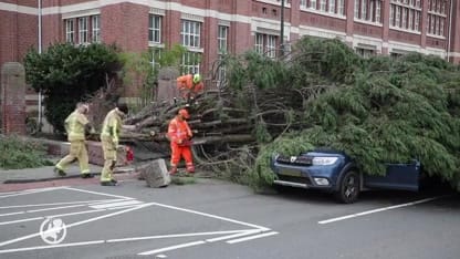 Door het oog van de naaldboom: rijdende auto geplet in Den Haag