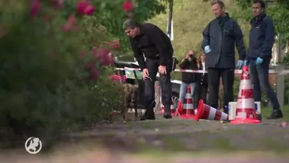 Verdachte aangehouden voor betrokkenheid bij de moord op Derk Wiersum