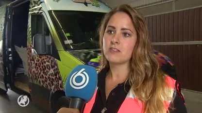 Simba de Leeuw uit Bagdad geland