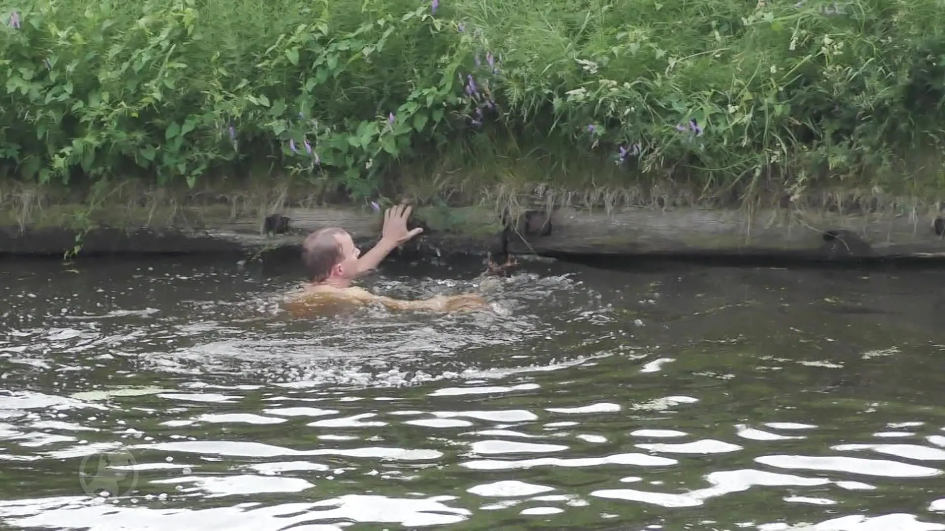 Jongeren redden reebokje van verdrinkingsdood