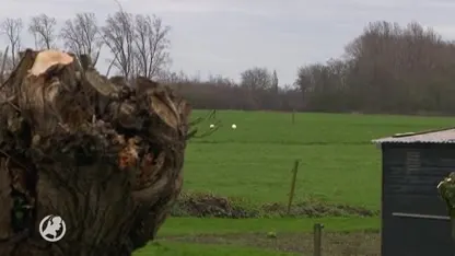 Politie Rotterdam jaagt op zwanenmoordenaar(s)