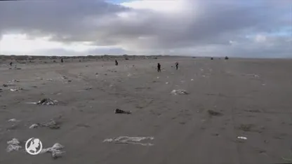 Dronebeelden laat grote hoeveelheid troep zien op strand Terschelling