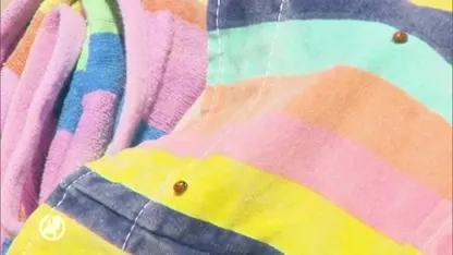 Invasie van lieveheersbeestjes op Nederlandse stranden: 'Dit is niet meer normaal'