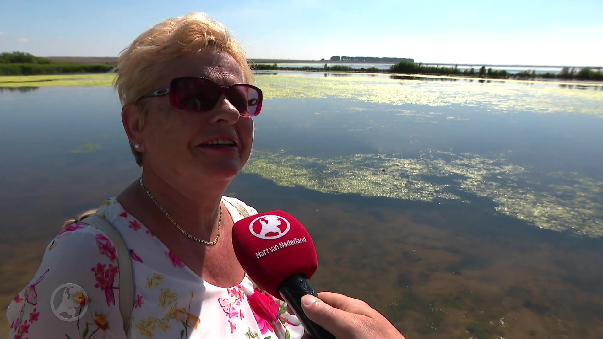 Eerste zwanen met schoon verenpak weer de natuur in