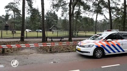 Damhert gedood, ingewanden achtergelaten