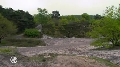 Twee doden op Brunssummerheide nog altijd een mysterie, politie start passantenonderzoek