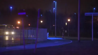 Nederlanders uit Wuhan terug