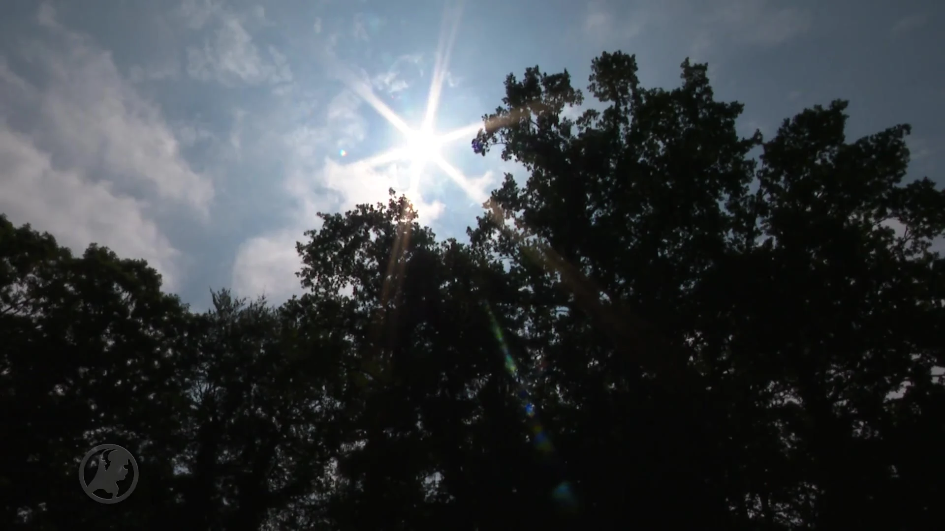 Rechtszaak moord Anne Faber: Den Dolder de angst voorbij?