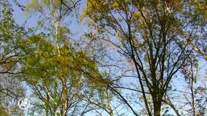 Zorgcentrum ontruimd vanwege grote brand in natuurgebied Deurnese Peel