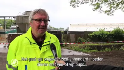 Ruiming van nertsen begonnen bij bedrijf in Deurne