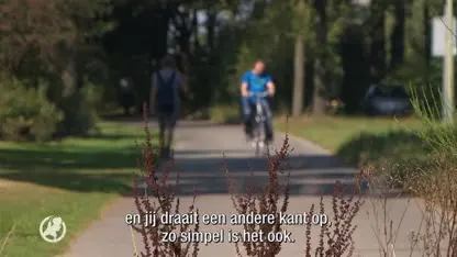 Ontsnapte tbs'er Harry van E. gepakt in Zeeland