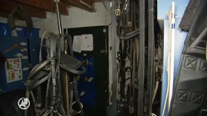 Dieven stelen peperdure zadels