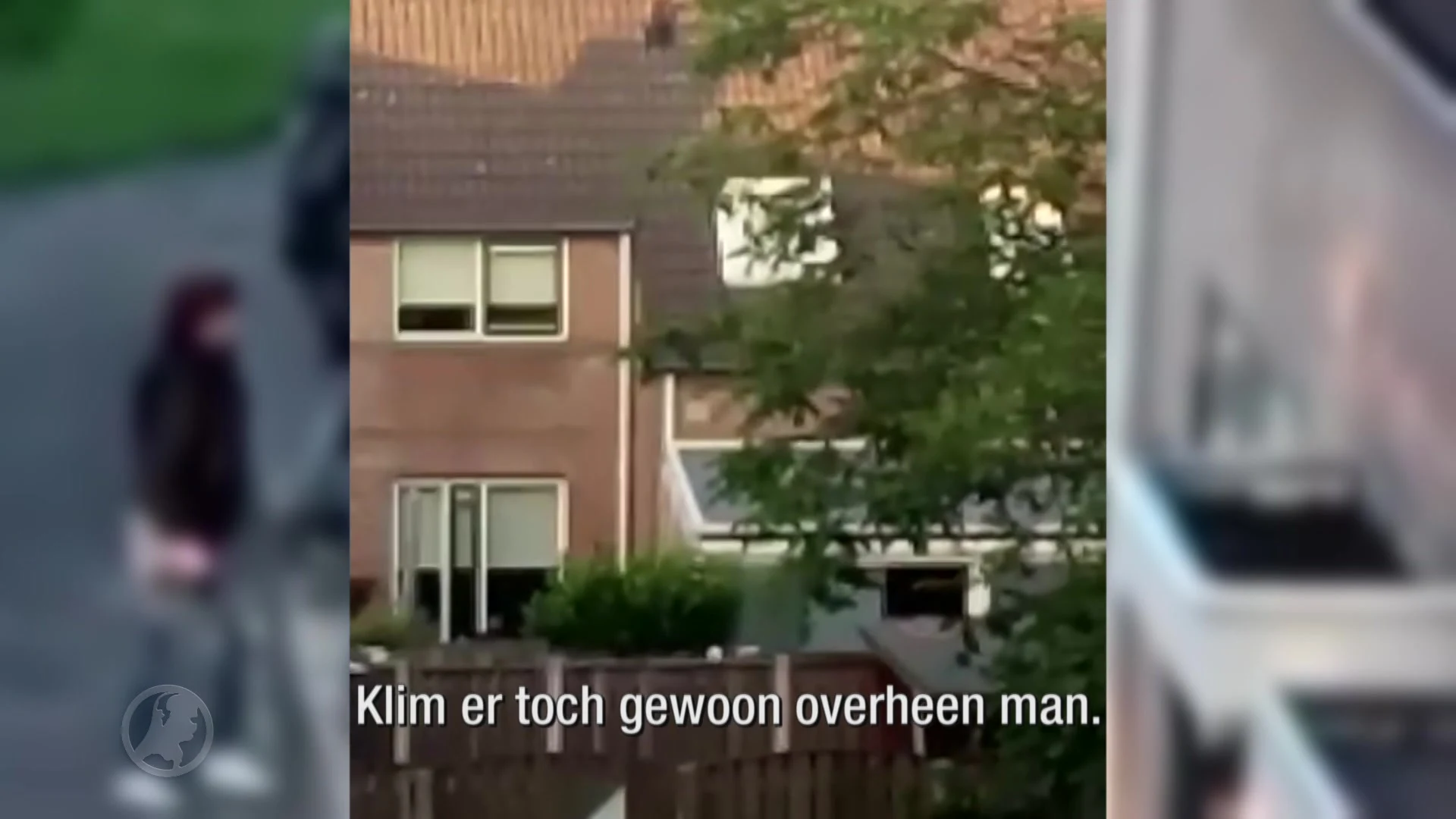 VIDEO: Arrestatieteam valt huis binnen na schietpartij