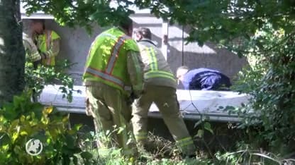 Vrachtwagen kantelt op Nederlands-Belgische grens, honderden varkens zitten vast