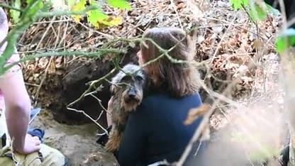 Brandweer graaft vastzittende hond uit