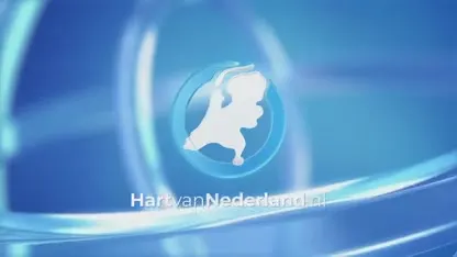 Automobilist raakt lichtgewond nadat hij Jaguar in woning parkeert