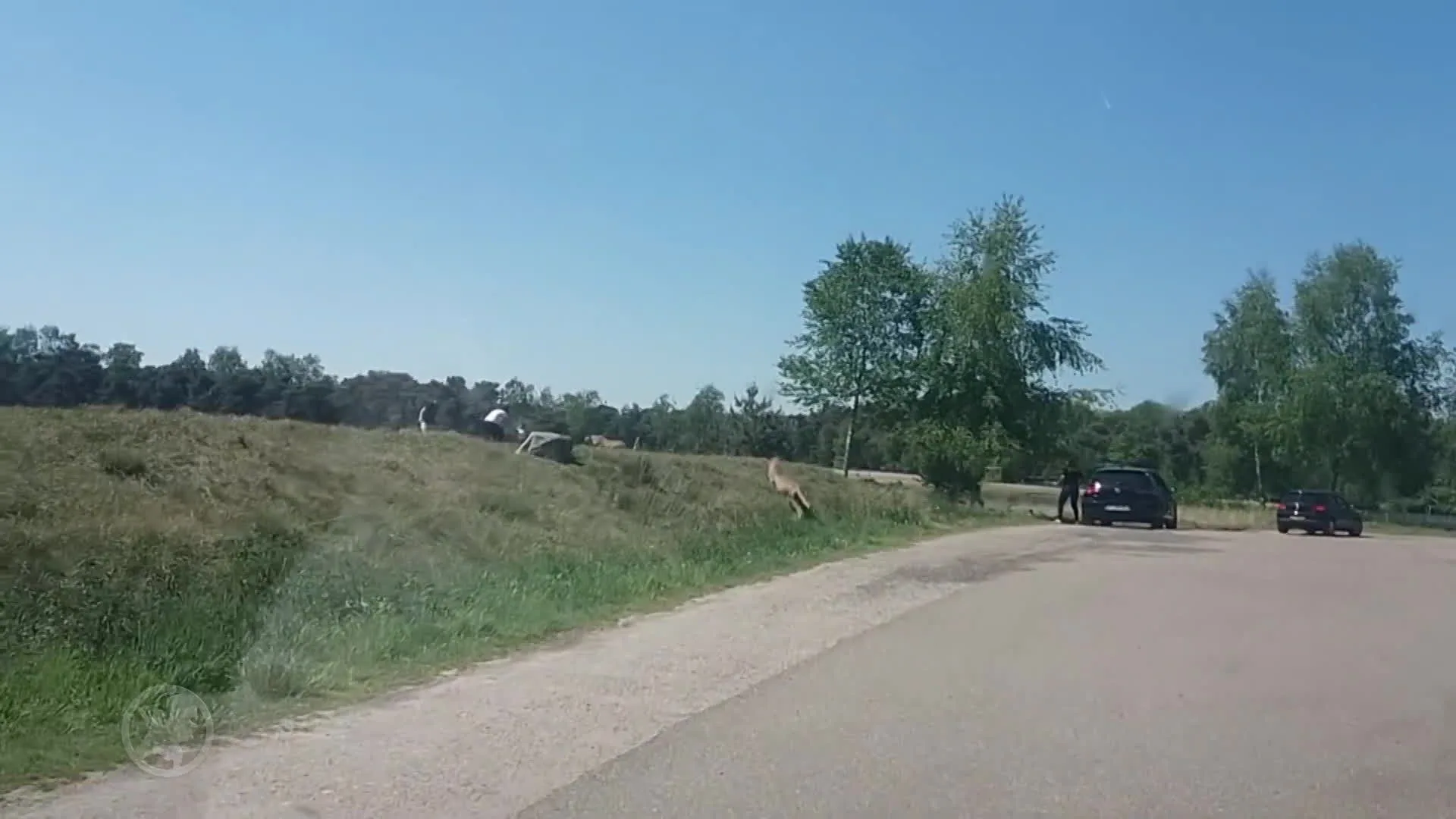 Wat vindt Nederland: moeten mensen die hun zorgplicht niet voldoen worden vervolgd?