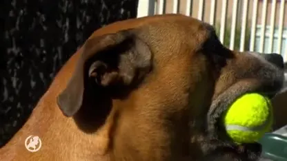 Stafford Luna voorkomt flatbrand en is held van de dag