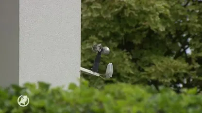 Vier mannen mishandelen en overvallen (74) zakenman in eigen woning