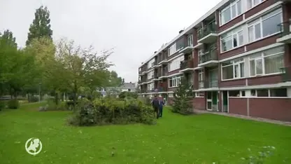 Vrijwillige tuinier mag groen achter flat niet onderhouden: 'Dit is knap asociaal'