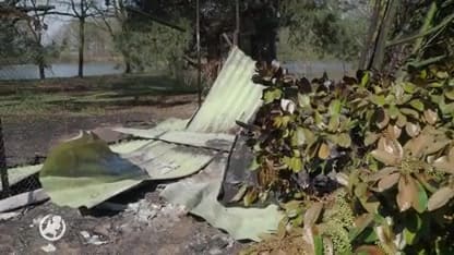 Tien dieren omgekomen door brandstichting in Beekse Bergen