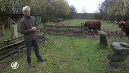 Actiegroepen gaan massaal in beroep tegen vliegveld Lelystad