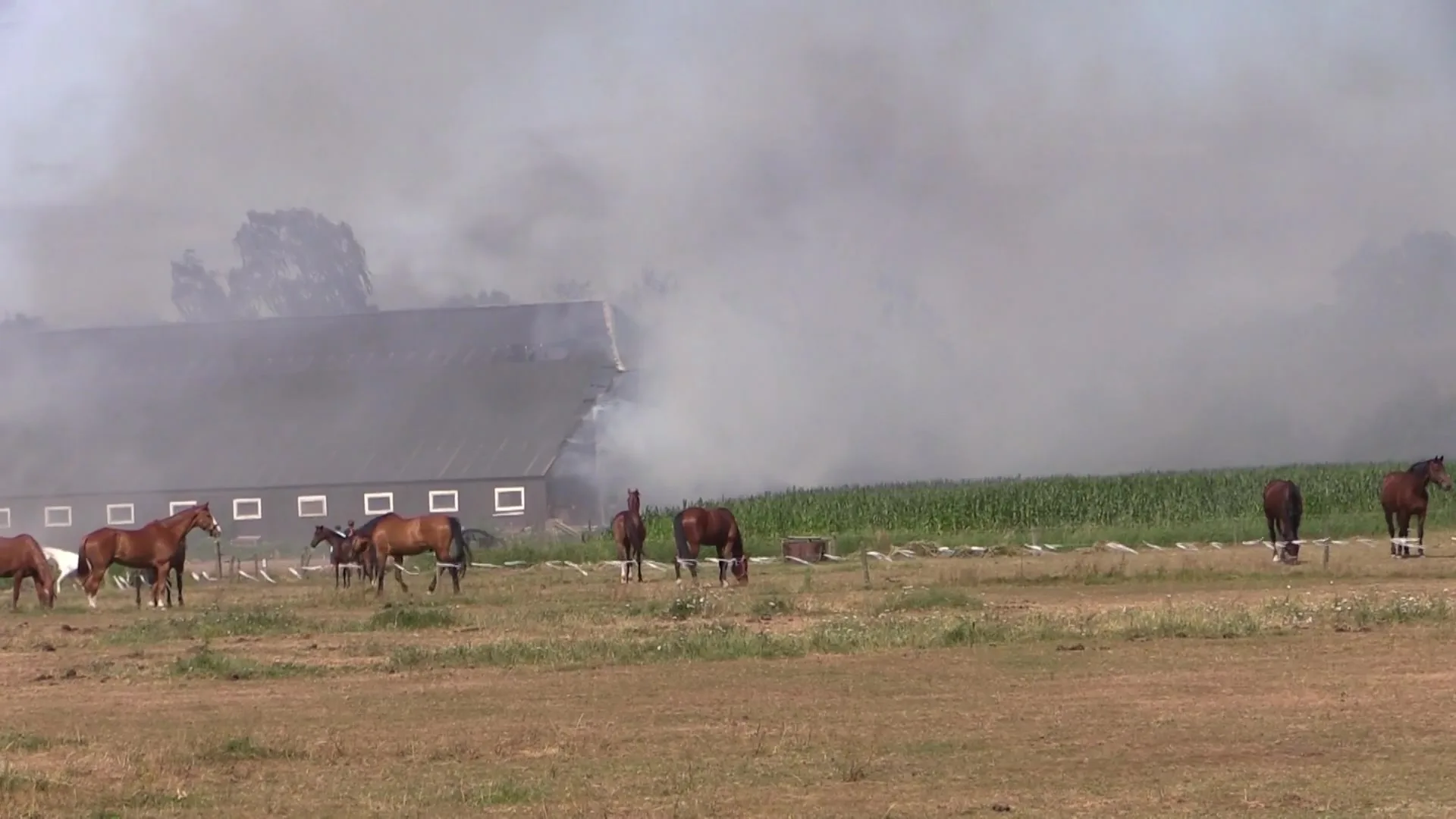 Brand in hooibalen slaat over naar twee schuren in Diepenveen