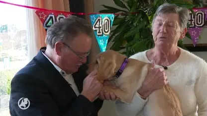 Familie verwelkomt hun 40e blindengeleidehond in huis