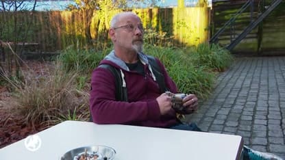 Steeds meer gezinnen dakloos