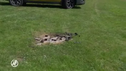 Natuurgebieden onveiliger omdat boswachters pepperspray en wapenstok moeten inleveren