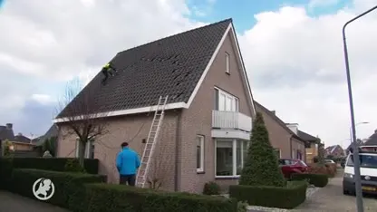 Storm richt voor "enkele miljoenen" schade aan, zeggen verzekeraars