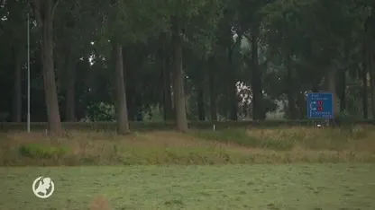 Oplossen CBR-wachttijden voor rijbewijs gaat nog langer duren