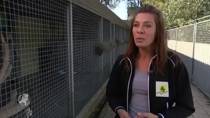 Hartverscheurende brief bij gedumpte hond