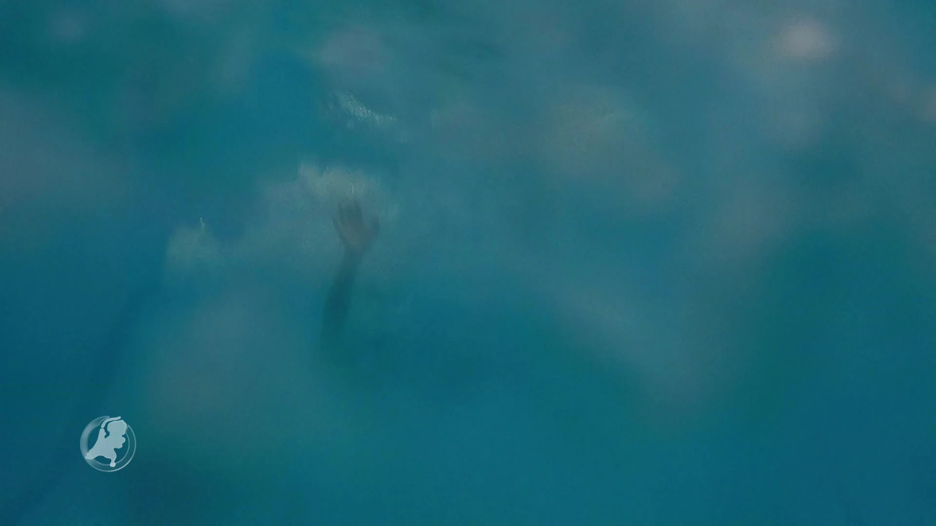 Schoonspringles van de kersverse Europees kampioen