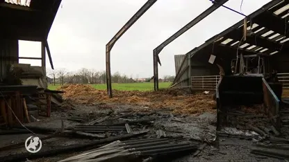 Boer redt koeien van brand in Lage Mierde