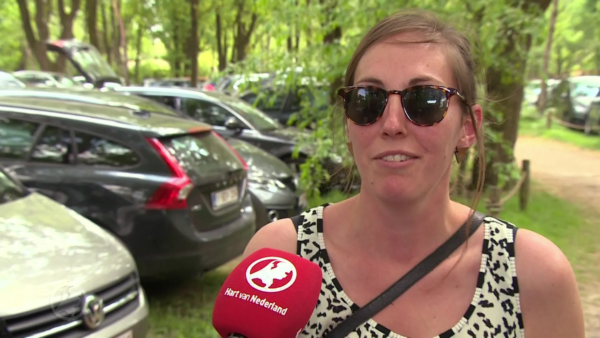 Geen extra maatregelen Beekse Bergen na 'wandeling' in cheetaverblijf