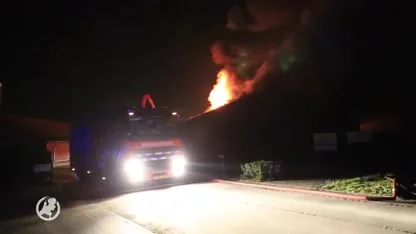 Duizend varkens omgekomen bij grote stalbrand in Lierop